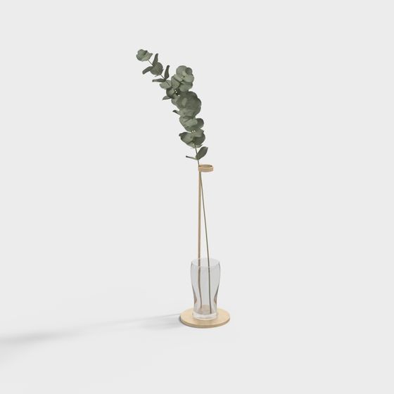 Glass Vase with Eucalyptus Branch 3D model