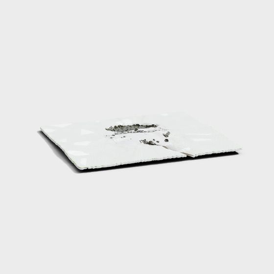 Detailed Worn Glass Plate 3D model