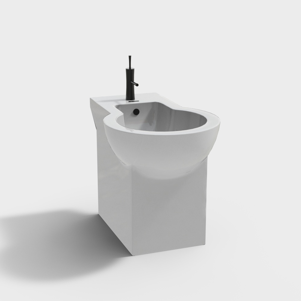 Modern toilet - mop pool