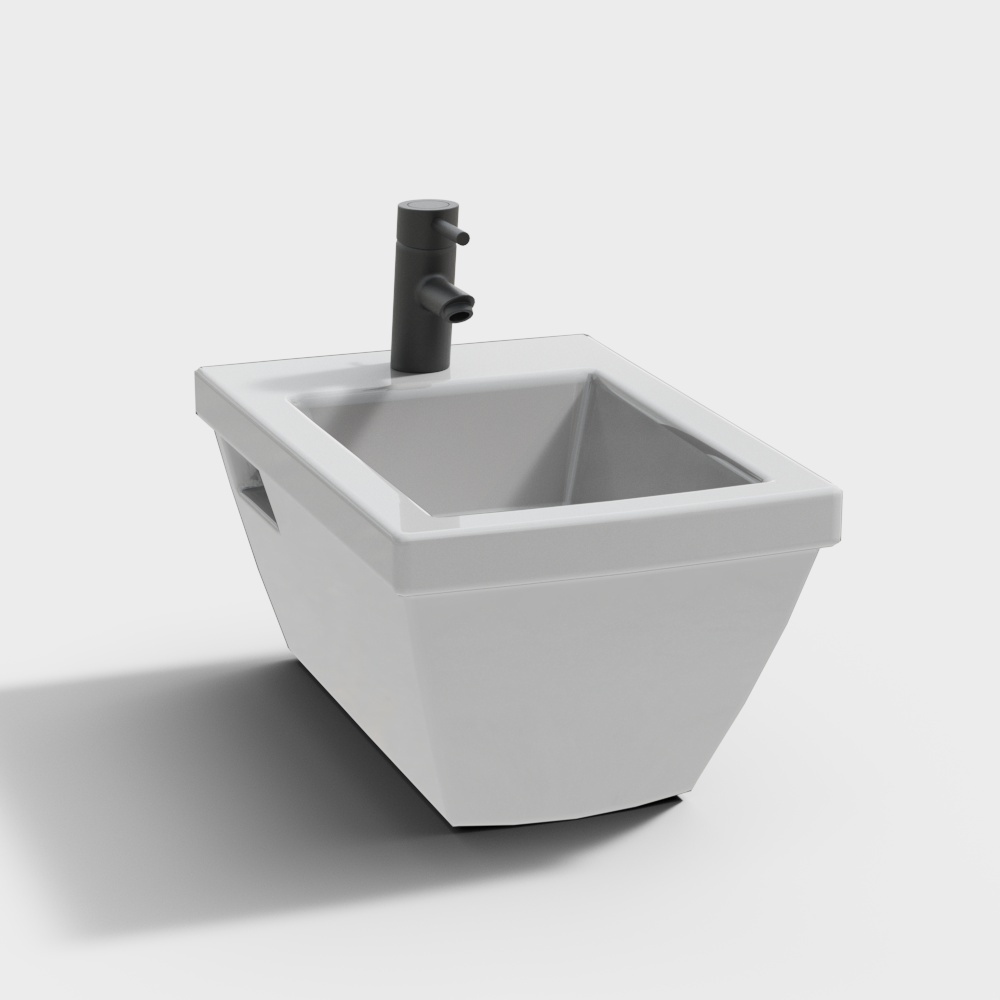 Modern toilet - mop pool