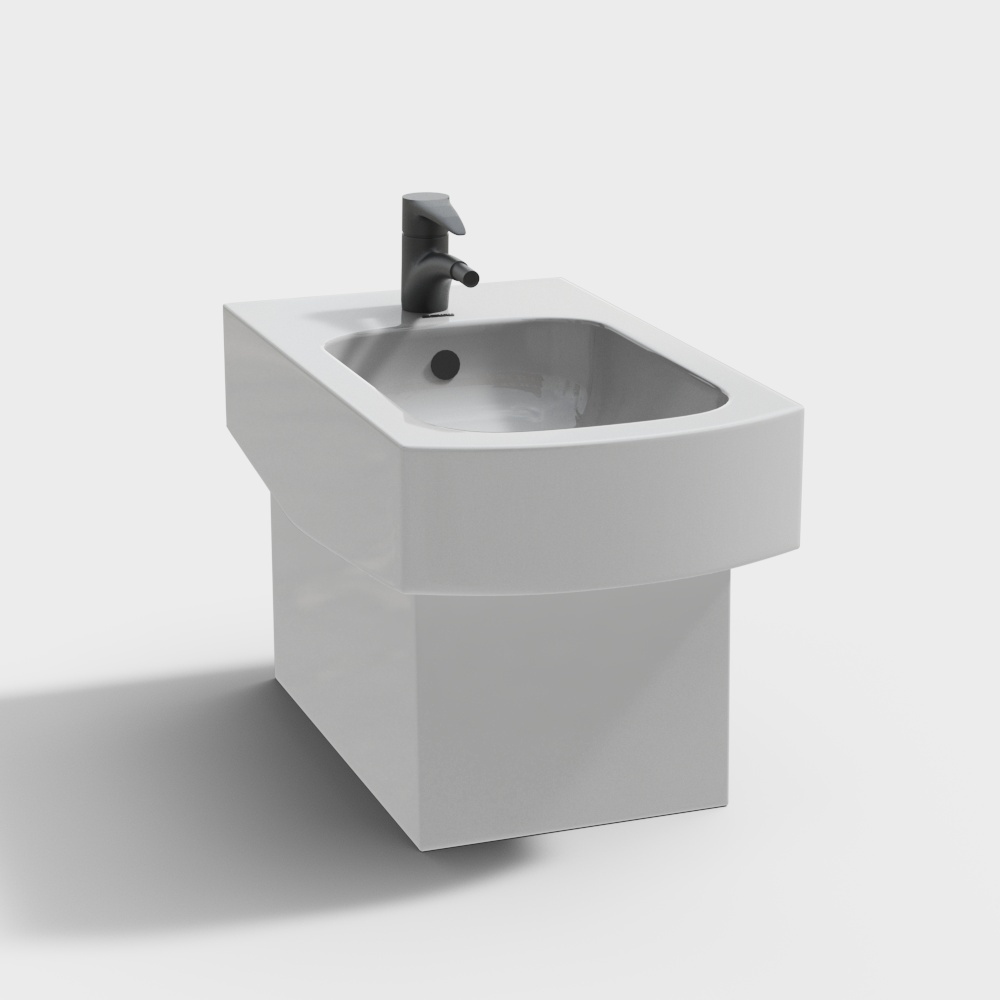 Modern toilet - mop pool