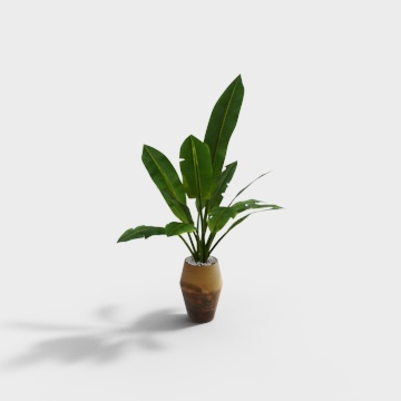 Stunning Banana Plant 3D model for Indoor Spaces