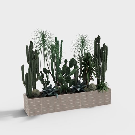 Cactus Oasis 3D Model for Creative Projects