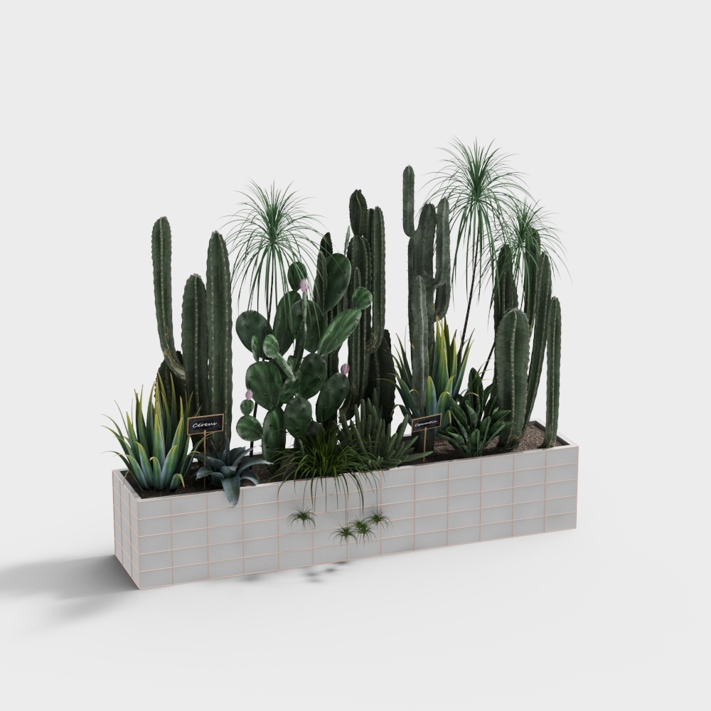 Modern - potted bonsai