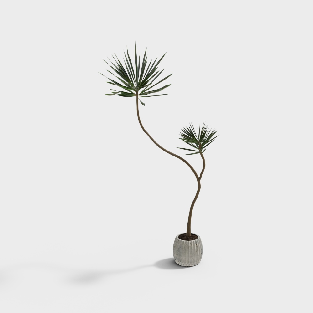 Desert Plant 3D Model – Low-Poly Natural Design