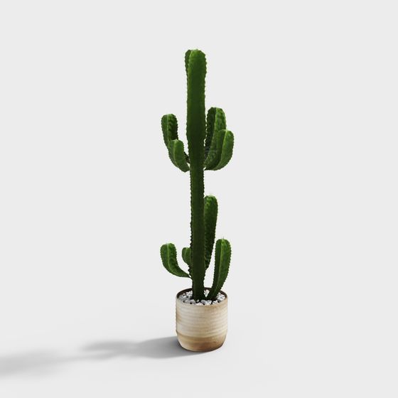 Vibrant Low-Poly Cactus 3D Model