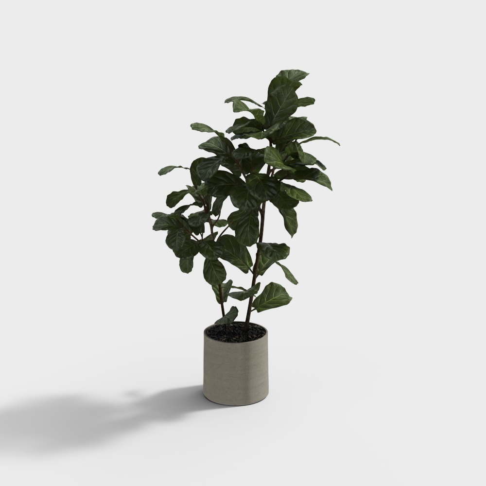 Indoor Greenery 3D Model – Low-Poly Plant Asset