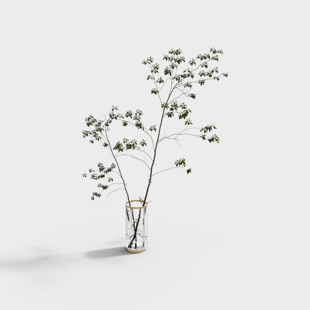 Modern small plant potting combination