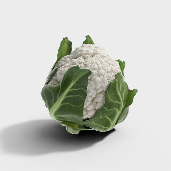 Fresh Broccoli 3D Model in Green