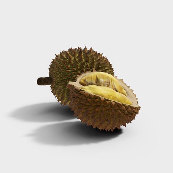Realistic Durian 3D Model for Tropical Designs