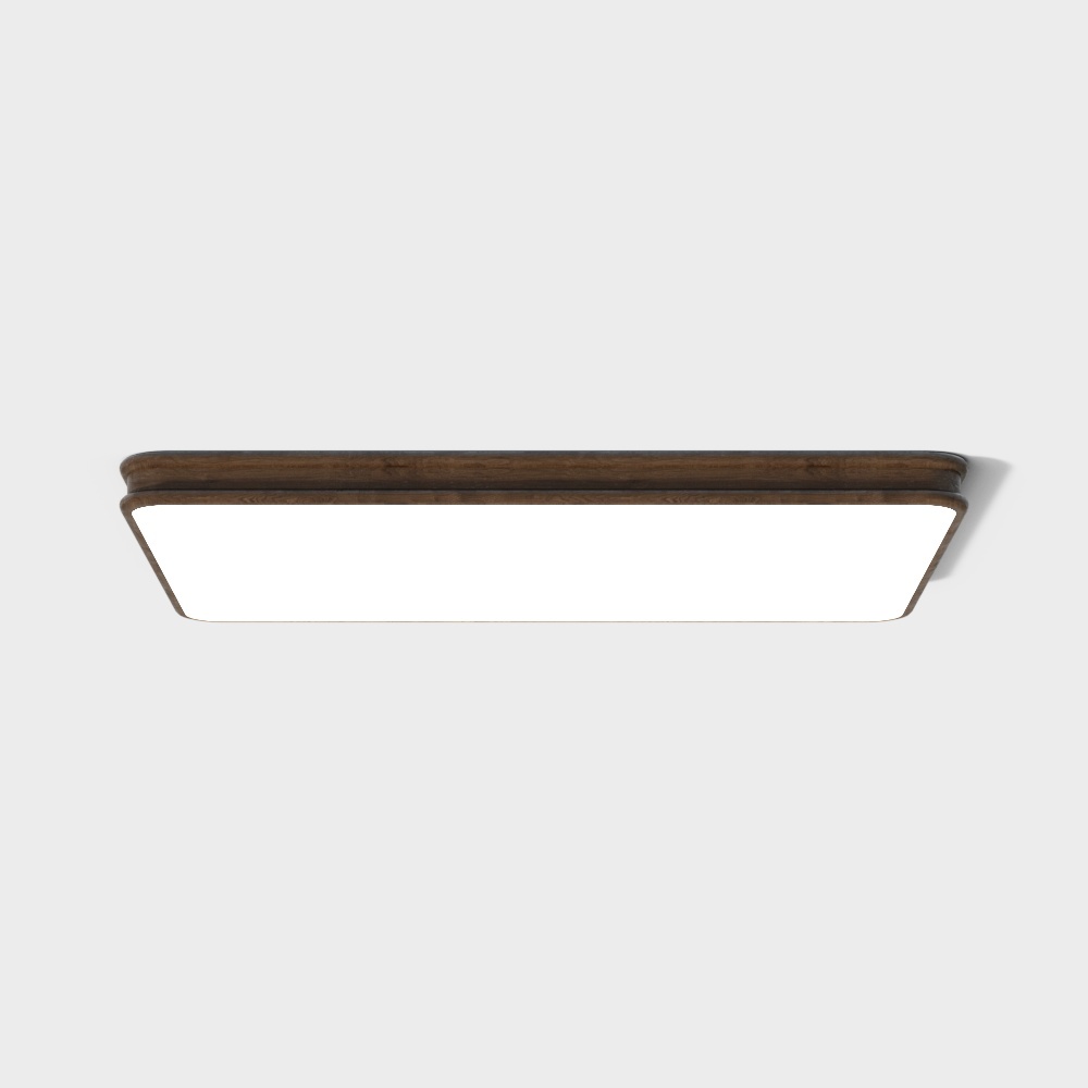 113 Ceiling Light-OB