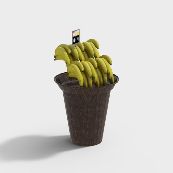 Realistic Banana Plant Pot 3D model