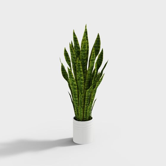 Snake Plant Low-Poly 3D model