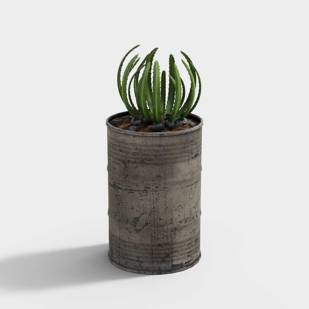 พืชแขวนผนังขนาดเล็ก 2