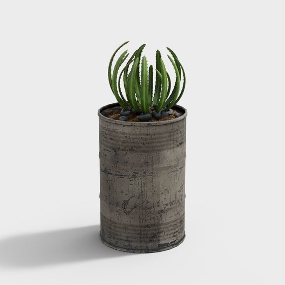 พืชแขวนผนังขนาดเล็ก 2