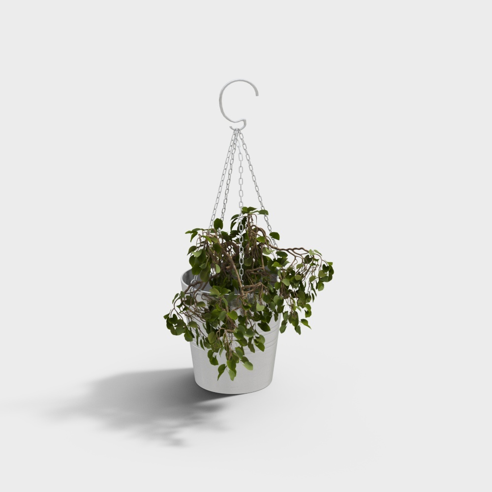 Hanging Green Plant 3D Model – Realistic Foliage