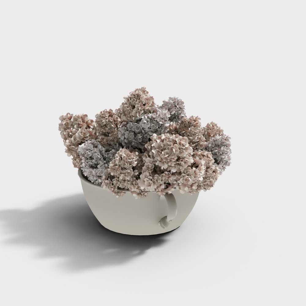 Pink flowers white vase