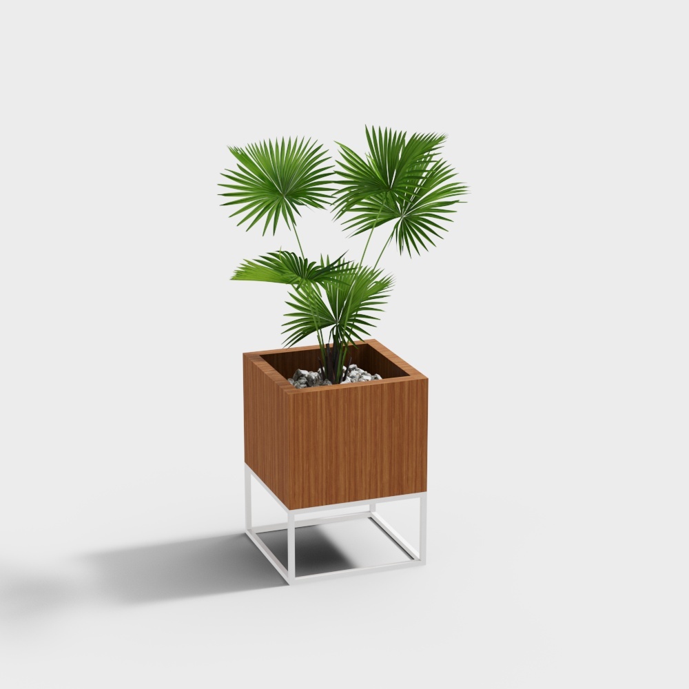 Urban Green Plant 3D Model – Realistic Palm Tree Design