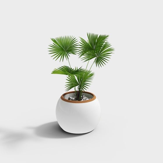 Chậu hoa lớn hình tròn bằng sợi thủy tinh giả gỗ