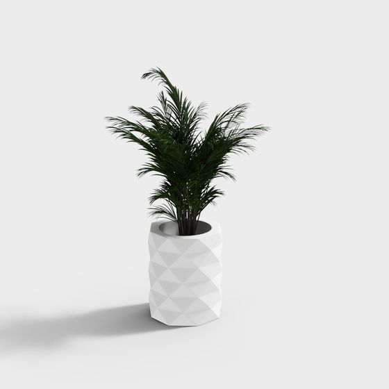 City Oasis Plant 3D model for Creative Designs