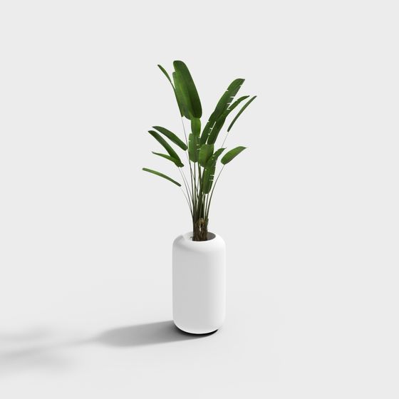 Chậu hoa hình trụ bằng sợi thủy tinh trắng