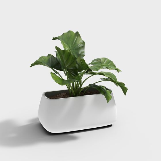 Urban Oasis Indoor Plant Pot 3D model