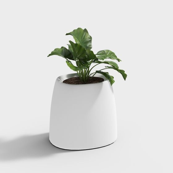 Urban Potted Plant 3D model for Modern Design