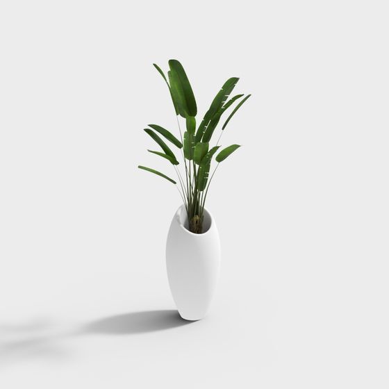 Indoor Green Plant 3D Model