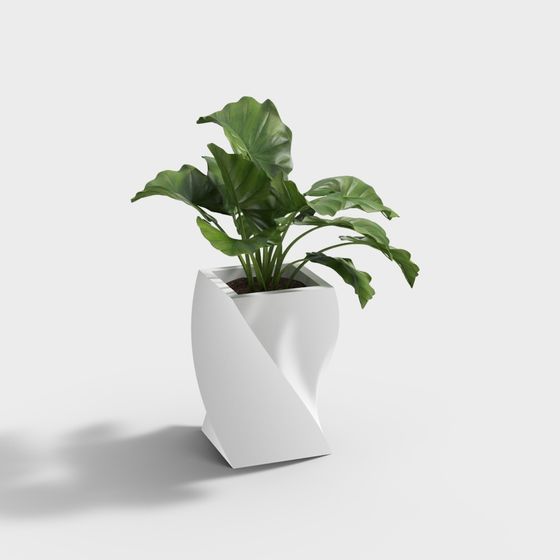 Twisted Elegance 3D Model for Modern Spaces