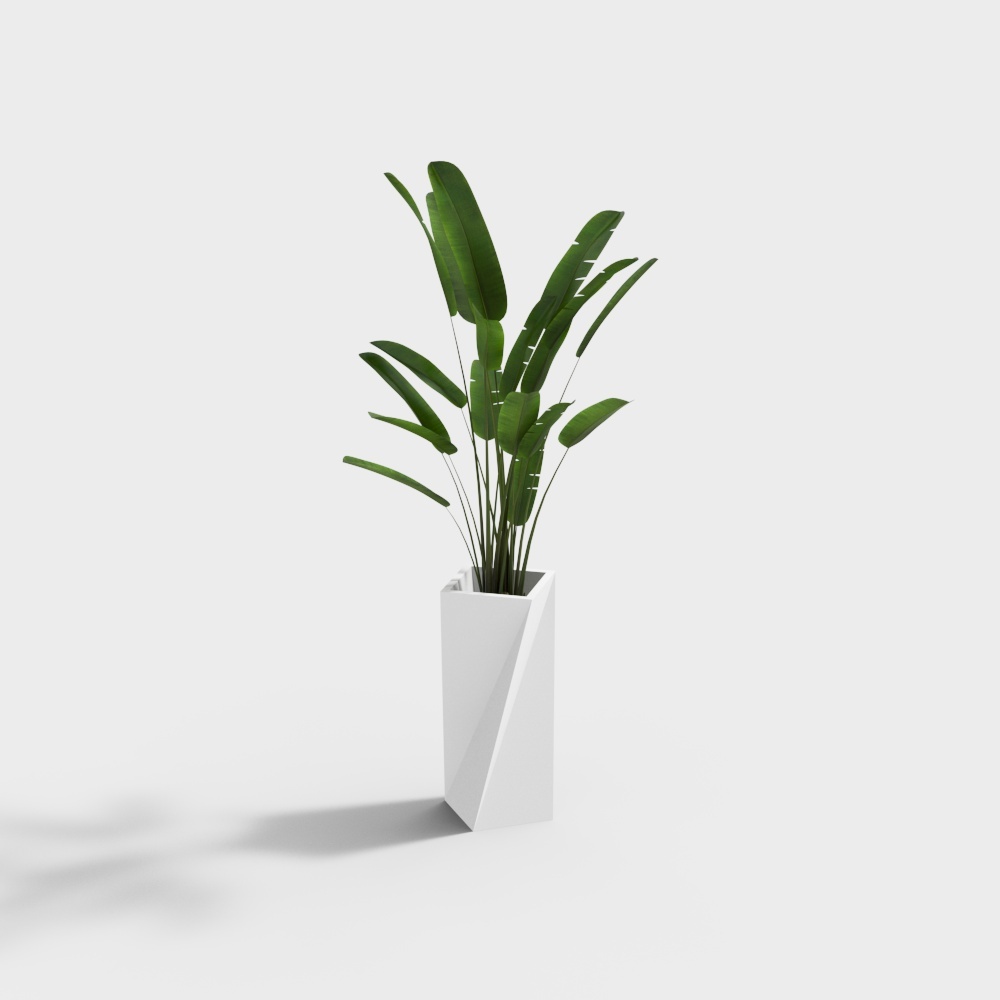 Modern Greenery 3D model