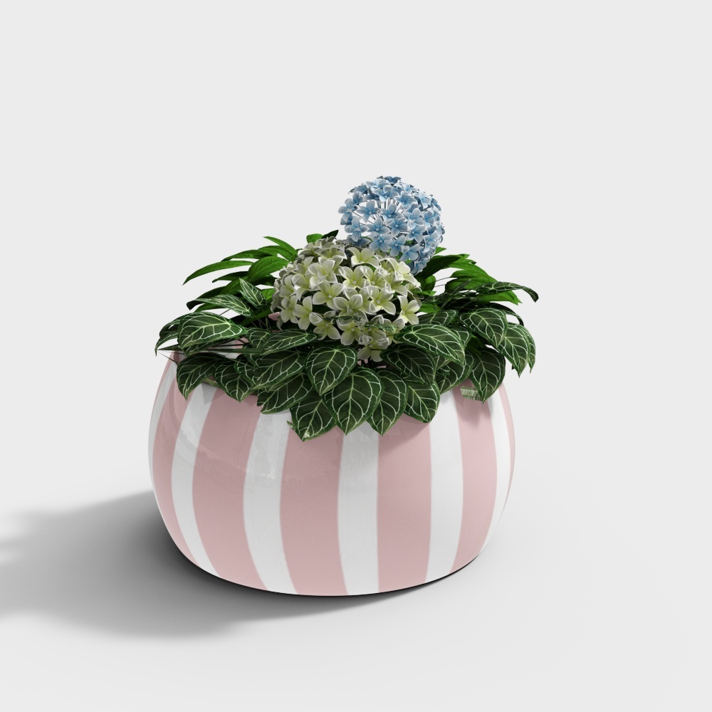 chậu hoa kẻ sọc