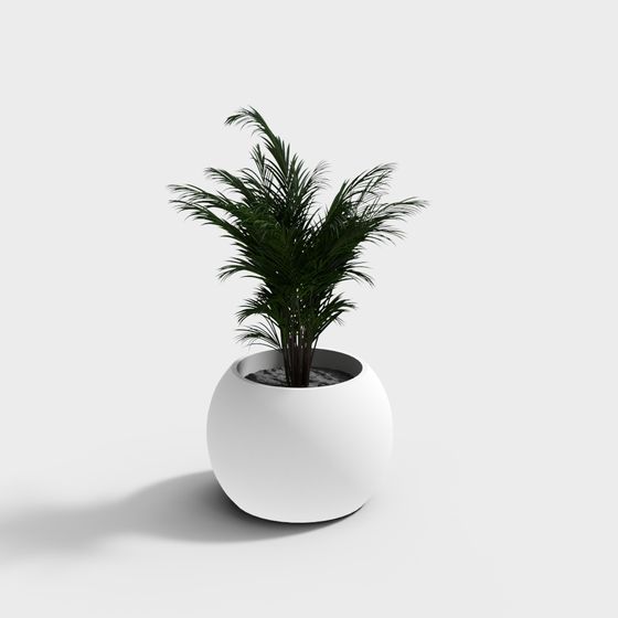 Tropical Green Plant 3D Model for Creative Projects