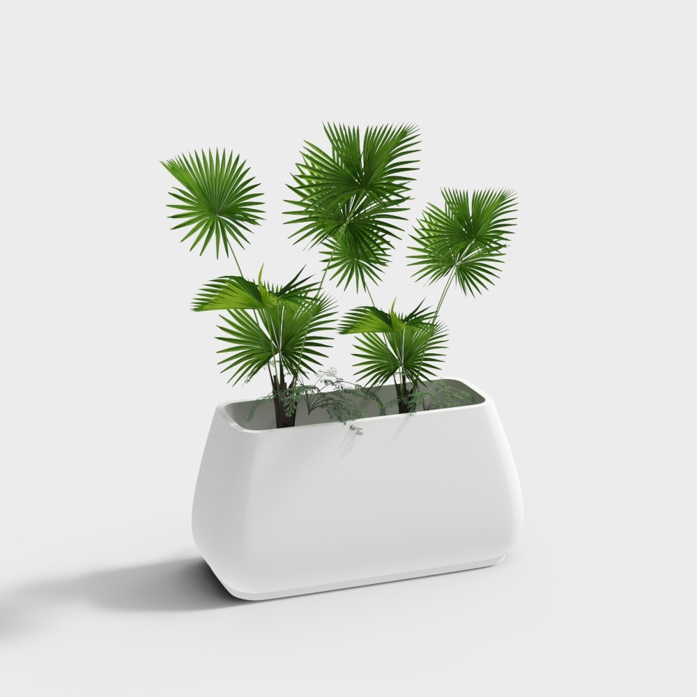 กระถางดอกไม้ไฟเบอร์กลาสสีขาวรูปสี่เหลี่ยมจตุรัส