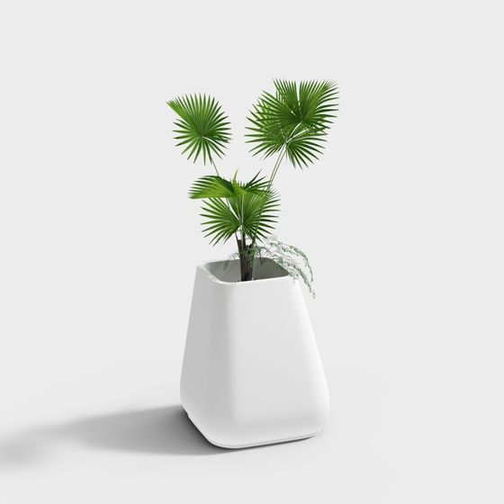 Contemporary Vase with Palm Plant 3D model
