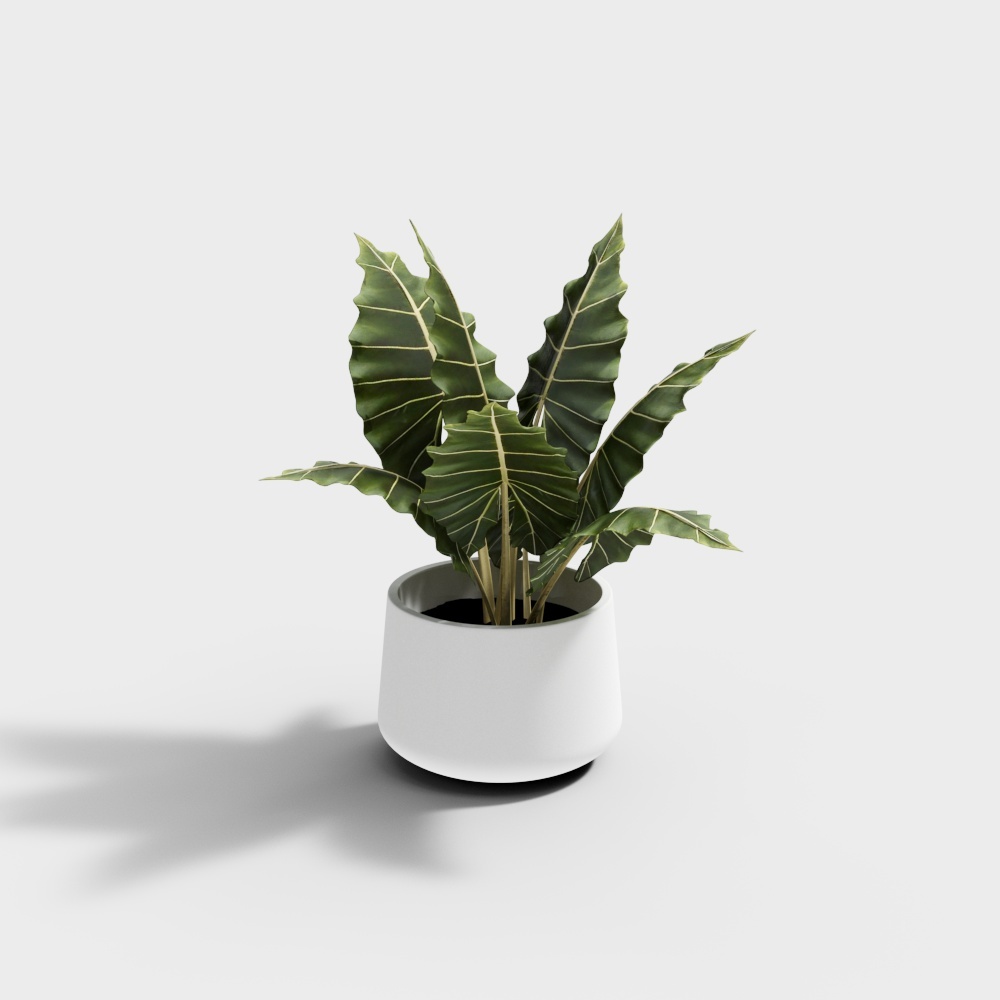 Cây trồng trong nhà