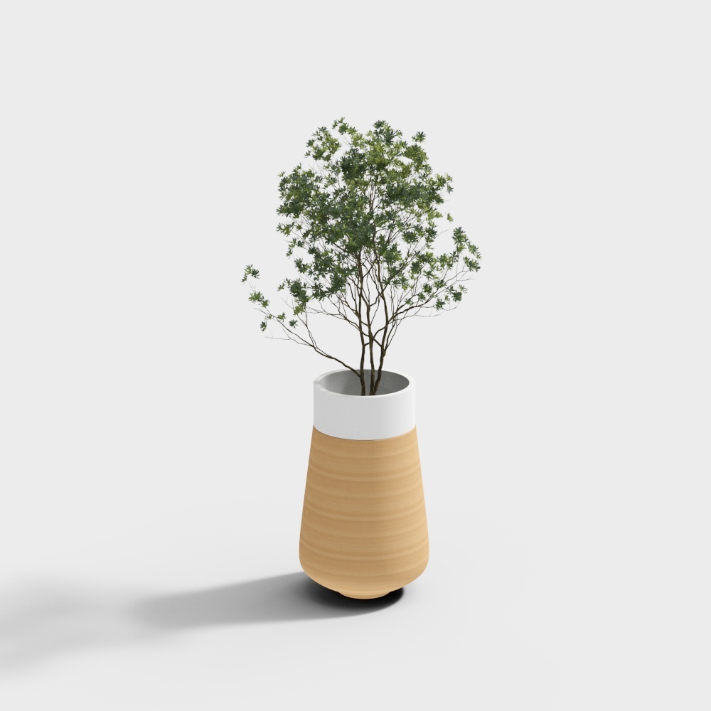 Cây trồng trong nhà