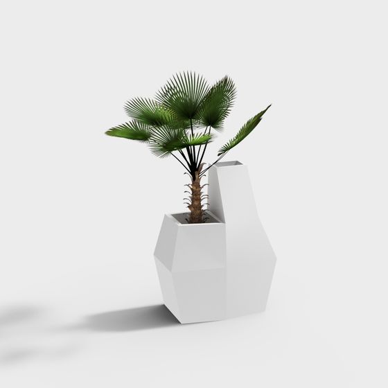 Modern Geometric Planter 3D model