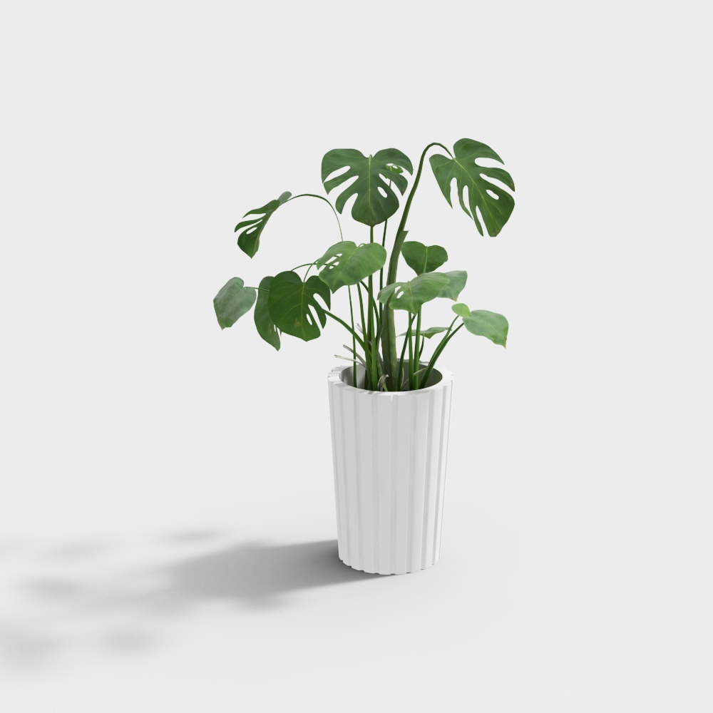 Chậu hoa hình trụ có rãnh dọc bằng sợi thủy tinh trắng