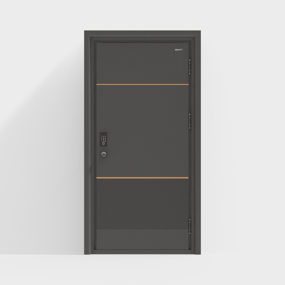 Brown silver 706 modern single door