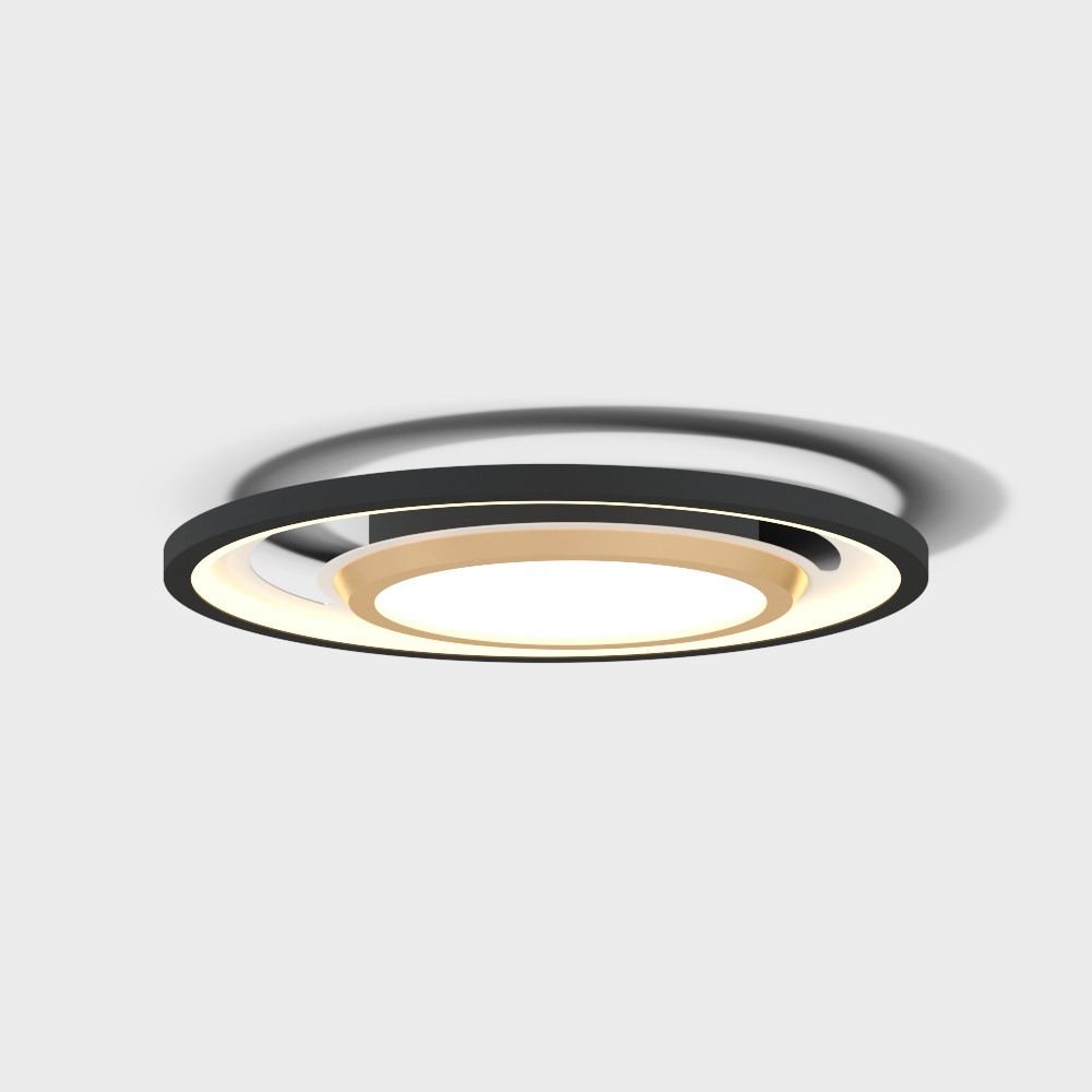 Ceiling light