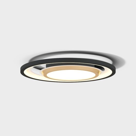 Circular Pendant Light 3D model