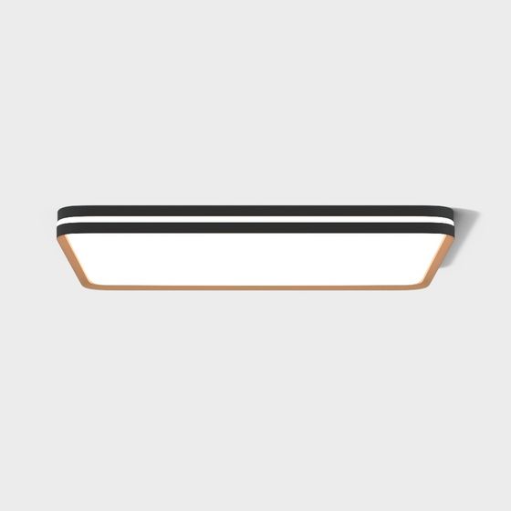 Stylish Minimalist Ceiling Light 3D model