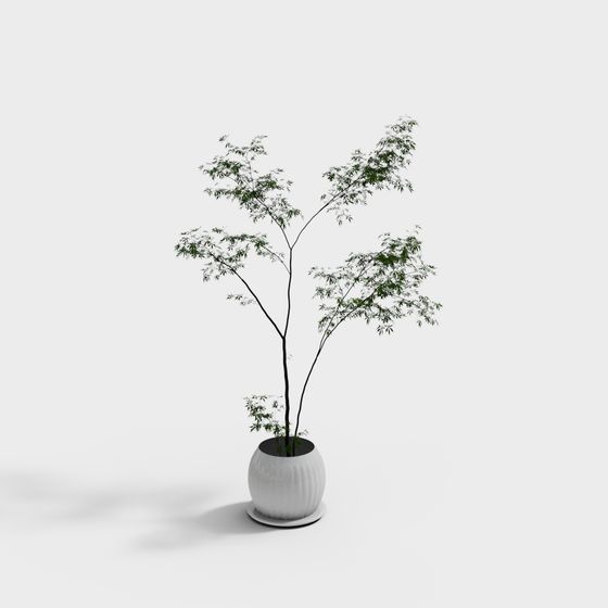 Elegant Bamboo Forest 3D Model