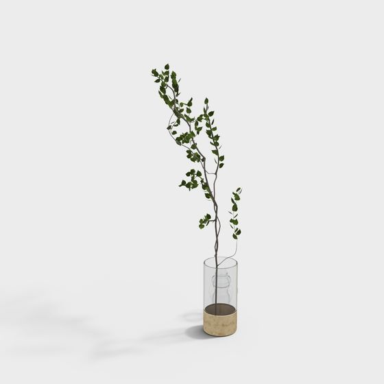 Elegant Plant in Glass Vase 3D model