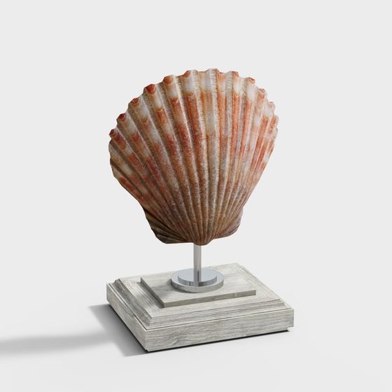 Realistic Shell Specimen 3D Model