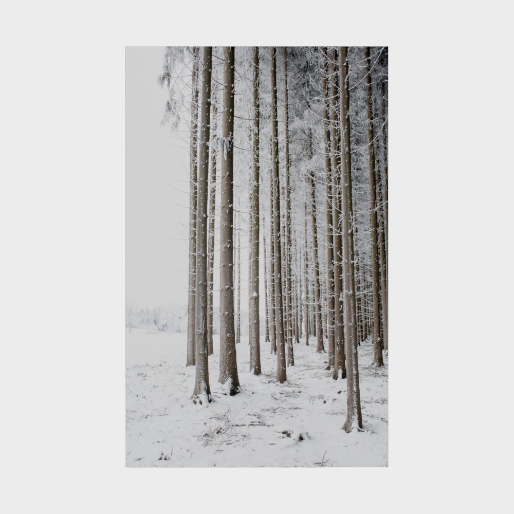 Decorative paintings