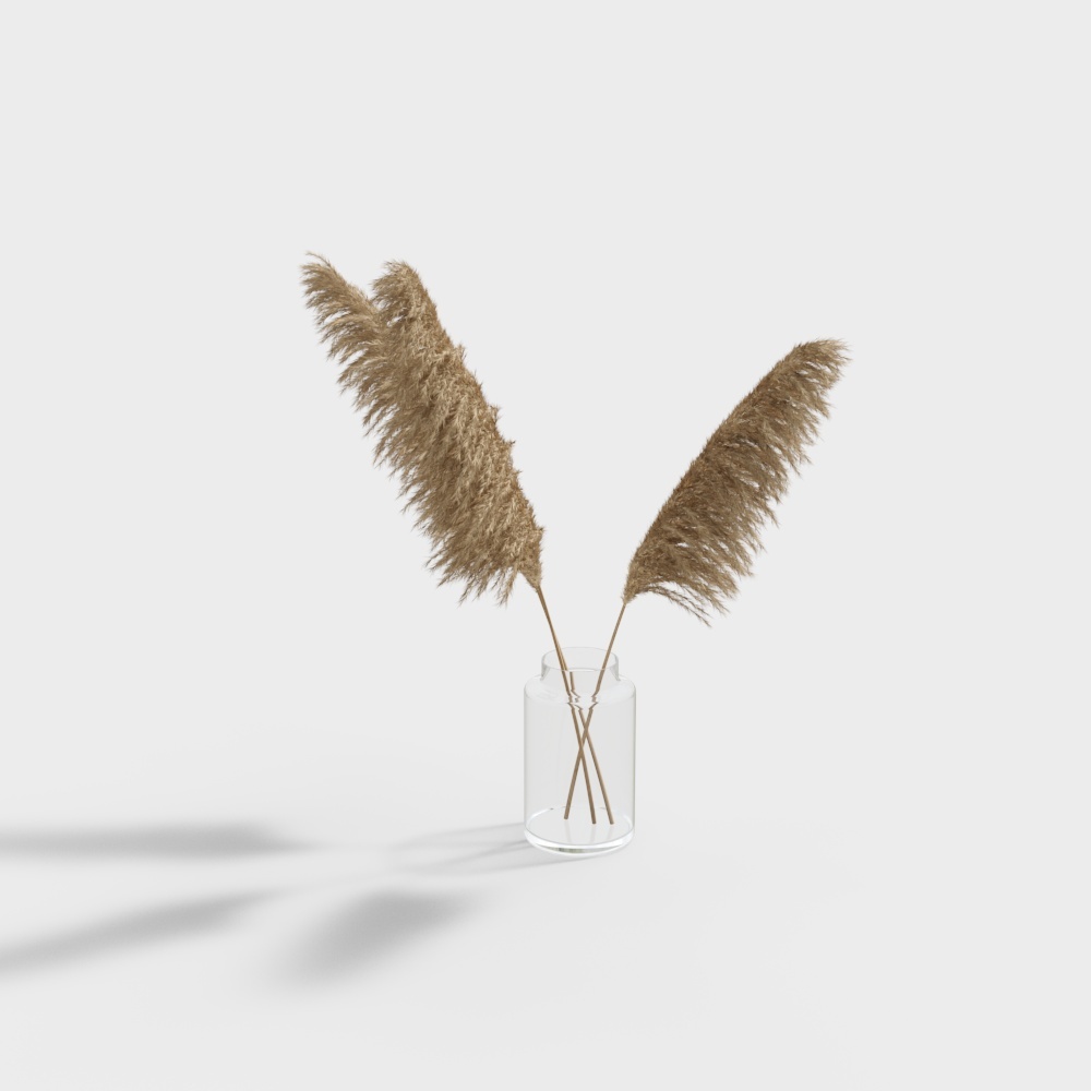 Dried beige pampas grass in clear glass vase on white background