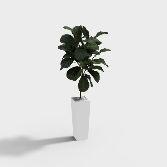 Green Plants 3D Model for Membership Enhancements