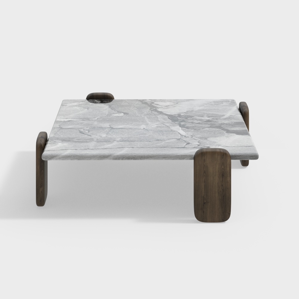Modern Living Room Coffee Table 【Tyche/Tika Series】
