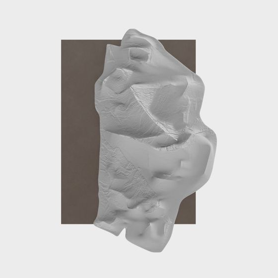Wrinkled Paper 3D model